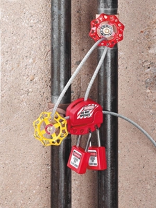 Immagine di LUS806