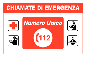 Immagine di 594